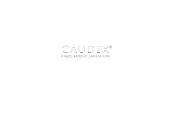 caudex.it site used Coin