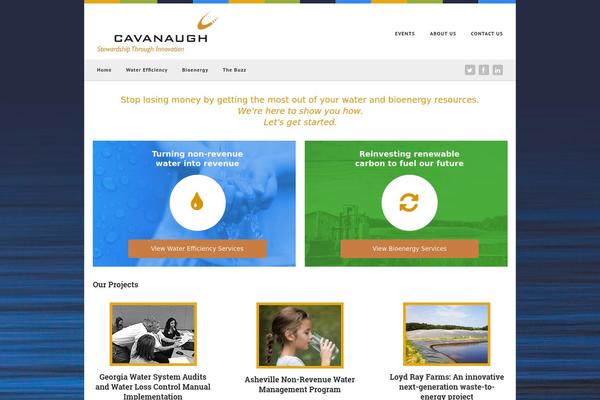 cavanaughsolutions.com site used Collab