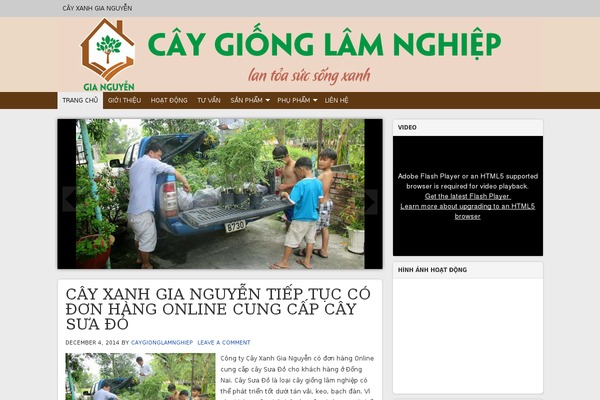 Flatsome theme site design template sample