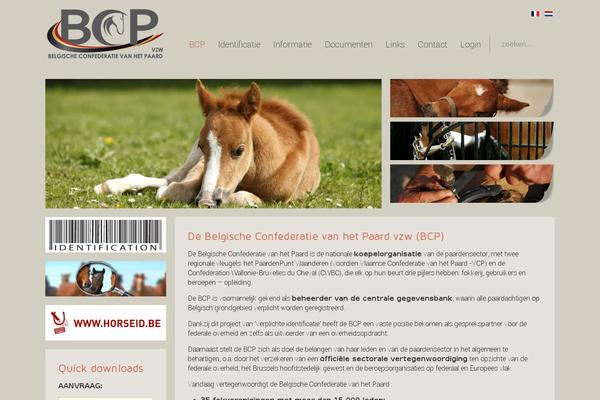 cbc-bcp.be site used Bcp