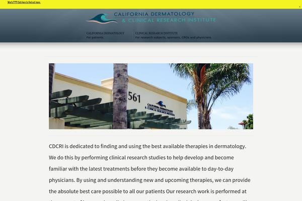 WordPress website example screenshot