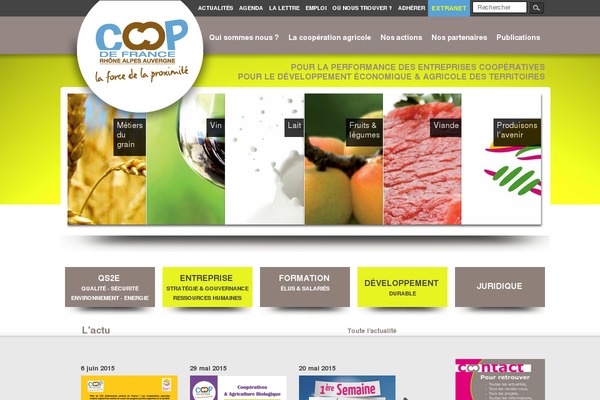CoOp theme site design template sample