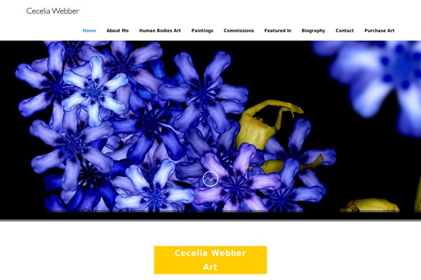 ceceliawebber.com site used Dw-page-modern-sta