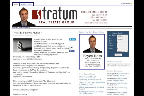 WordPress website example screenshot