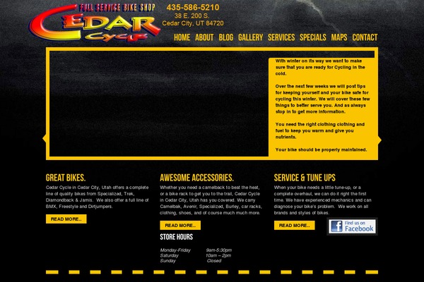 WordPress website example screenshot