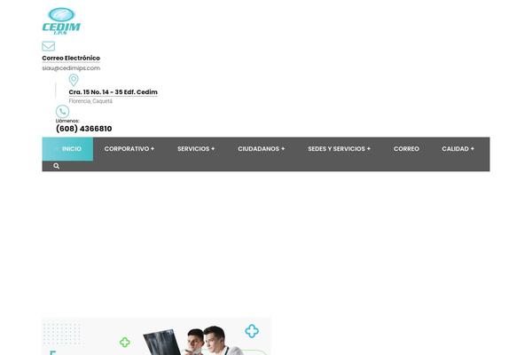 Consultio website example screenshot