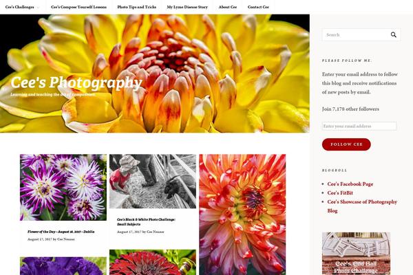 Site using Custom-fonts plugin