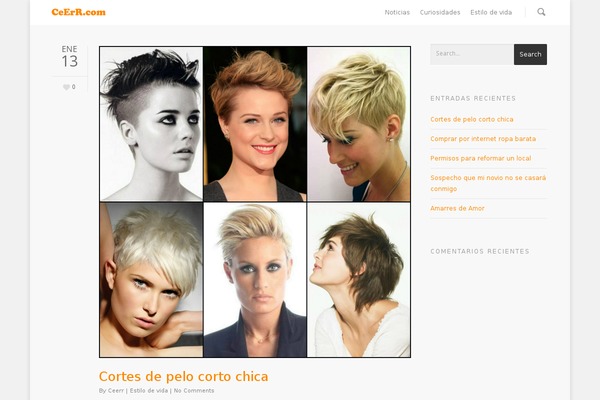 Salient theme site design template sample