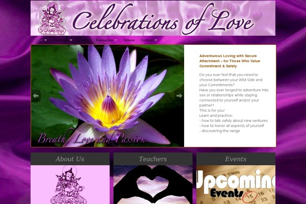 celebrationsoflove.org site used NonProfit