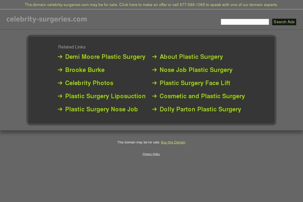 celebrity-surgeries.com site used Celeb-surgery