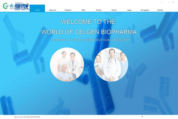 WordPress website example screenshot