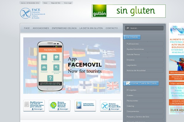 Site using Google Analytics by Yoast plugin