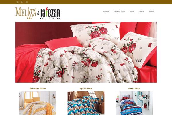 Virtue theme site design template sample