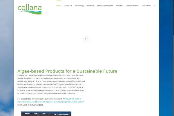 Site using Rotating Tweets (Twitter widget and shortcode) plugin
