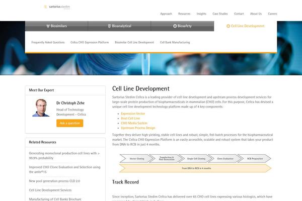 WordPress website example screenshot