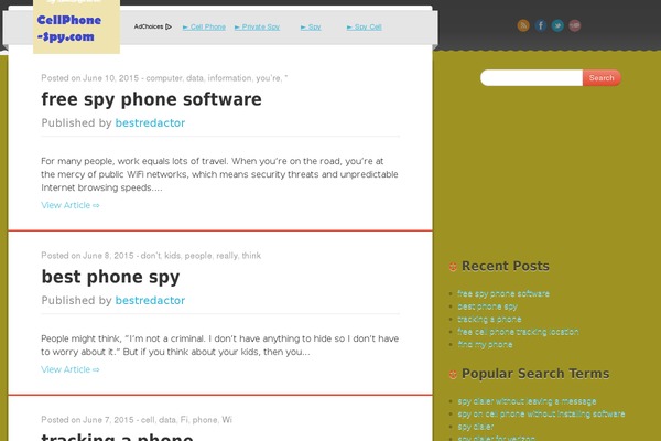 WordPress website example screenshot