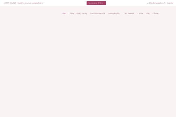Site using Autoptimize plugin