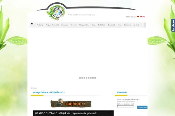 Rychlakdesign theme site design template sample