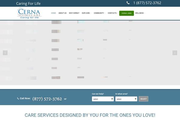 WordPress website example screenshot