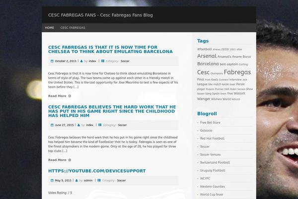 Topcat Lite theme site design template sample