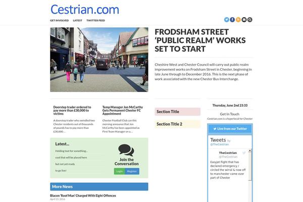 Chester theme site design template sample