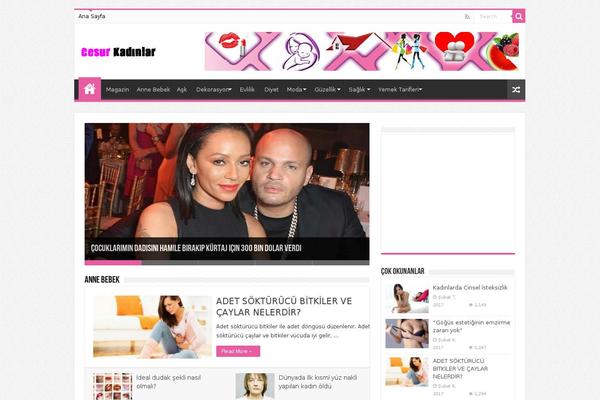 Sahifa theme site design template sample