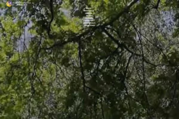 WoodMart theme site design template sample