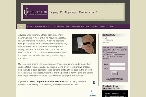 cfo-coach.com site used Cfocoach