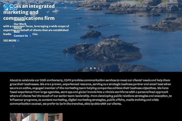 WordPress website example screenshot