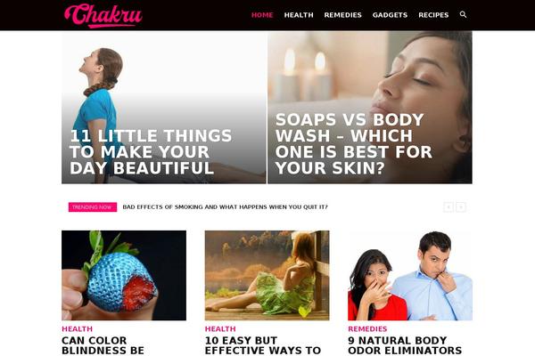 WordPress website example screenshot