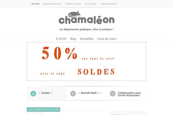 chamaleon.fr site used TownHub