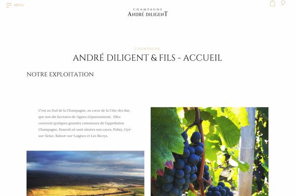 champagne-andre-diligent.com site used Luxwine-child
