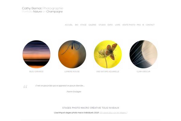 Hestia theme site design template sample