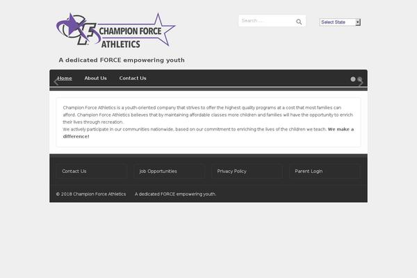 championforce.com site used Dvs-child-theme