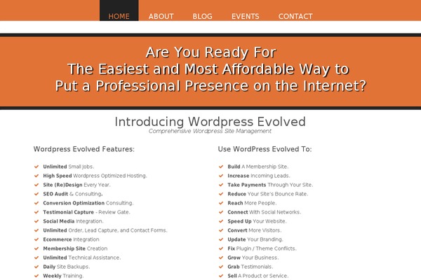 WordPress website example screenshot