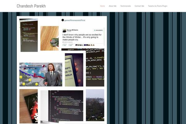 chandeshparekh.com site used Infinitygrid