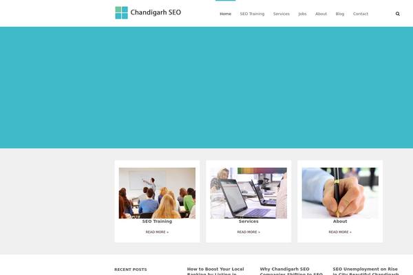 Company theme site design template sample