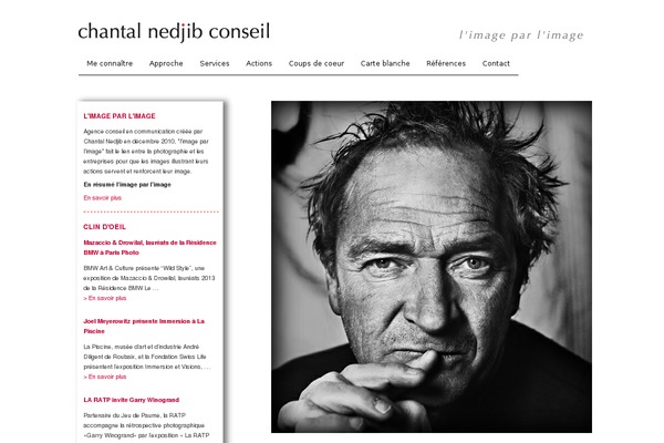 Twenty Ten theme site design template sample