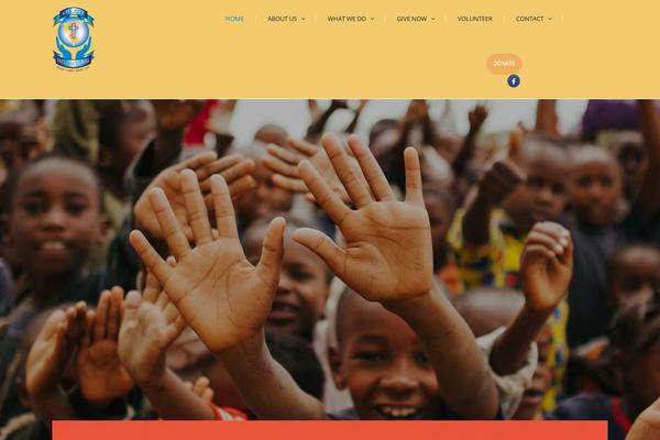 Charitywp theme site design template sample
