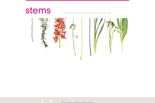 charlestonstems.com site used Stems