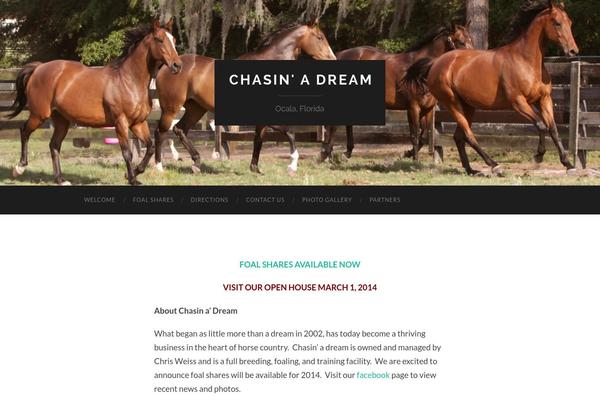 WordPress website example screenshot