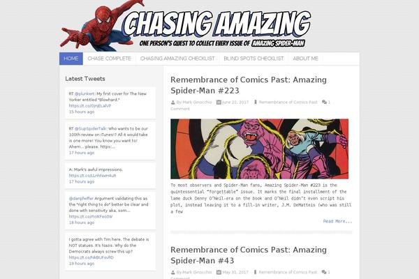 chasingamazingblog.com site used Truepixel