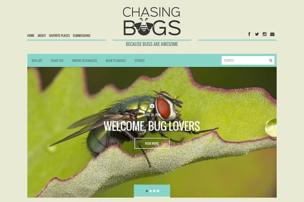 chasingbugs.com site used Wp_troy5-v2.0