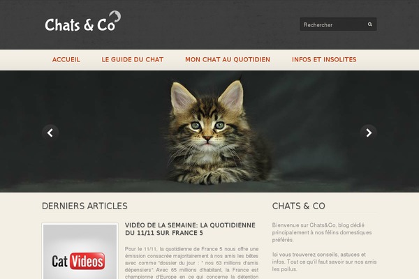 chatsetcompagnie.fr site used Linx