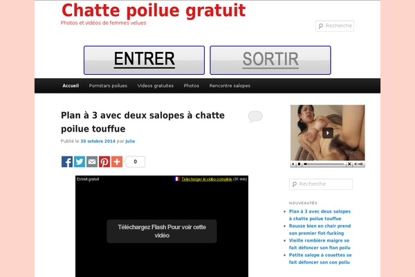 chattepoiluegratuit.fr site used Pinstagram