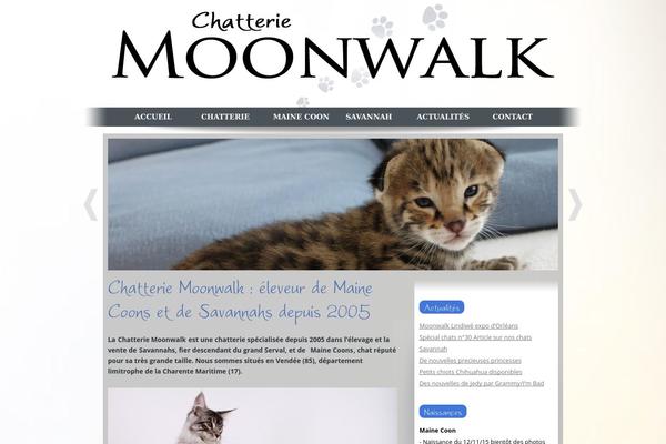 The7 theme site design template sample