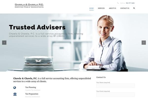 Accounting theme site design template sample