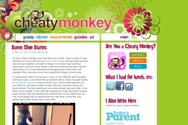 cheatymonkey.com site used Cheatymonkey