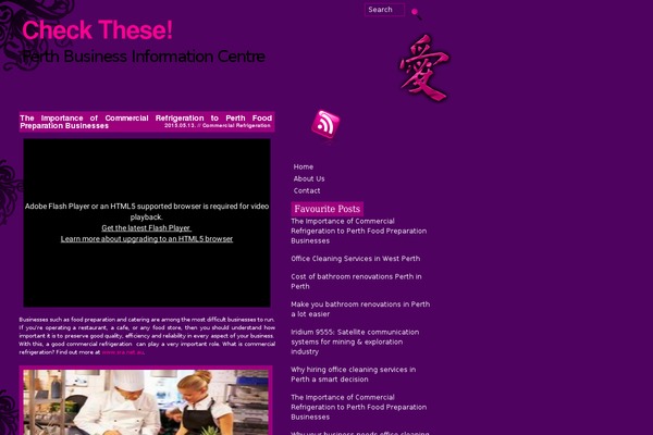 WordPress website example screenshot