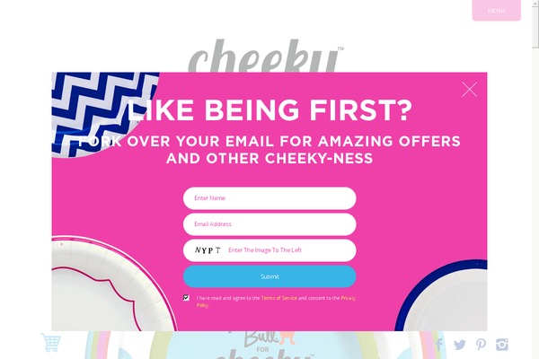 cheeky theme websites examples